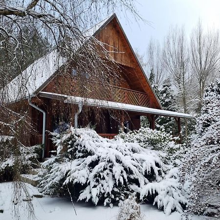 Villa Sowa I Kumple Drezdenko Exterior foto