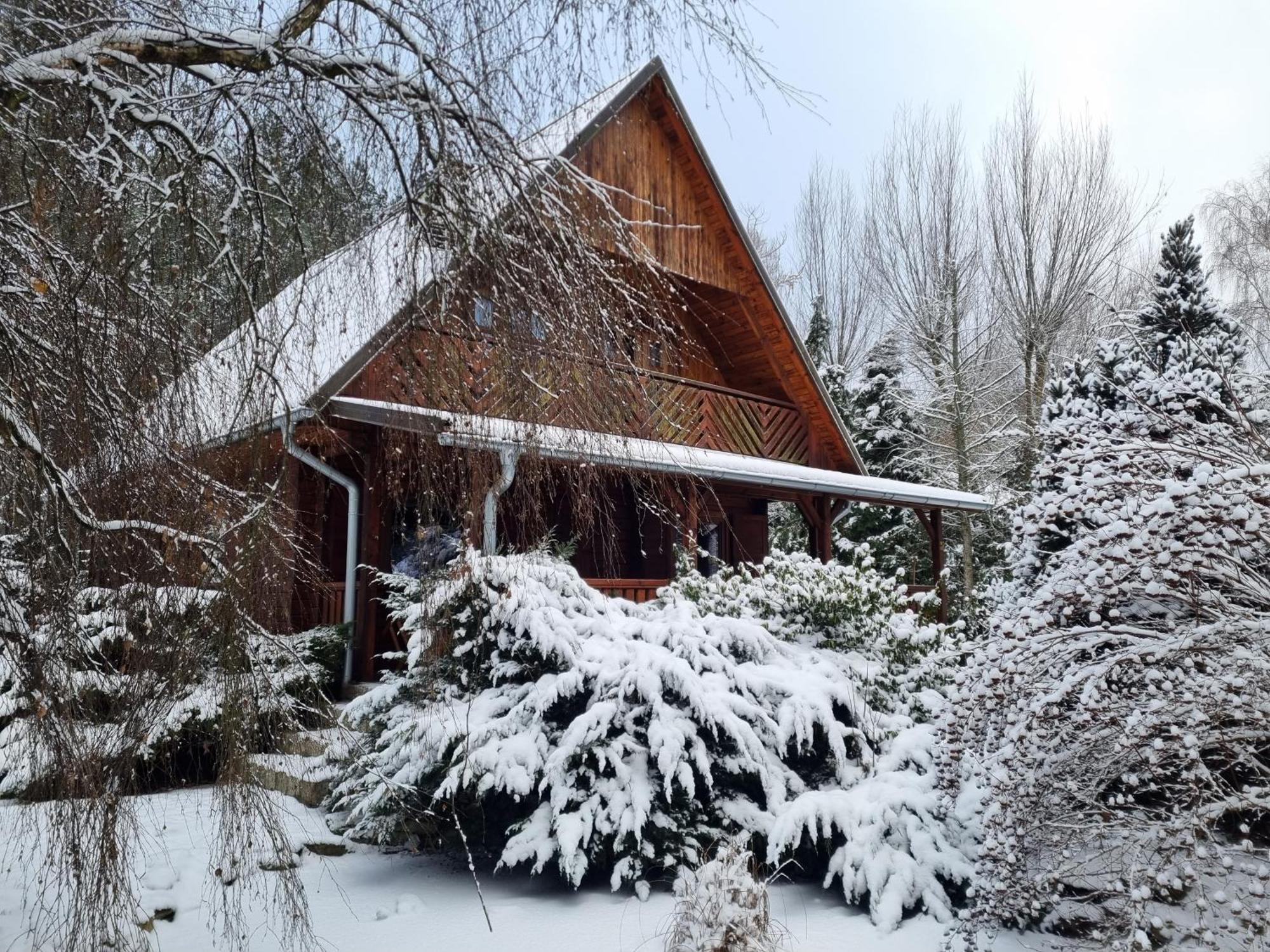 Villa Sowa I Kumple Drezdenko Exterior foto